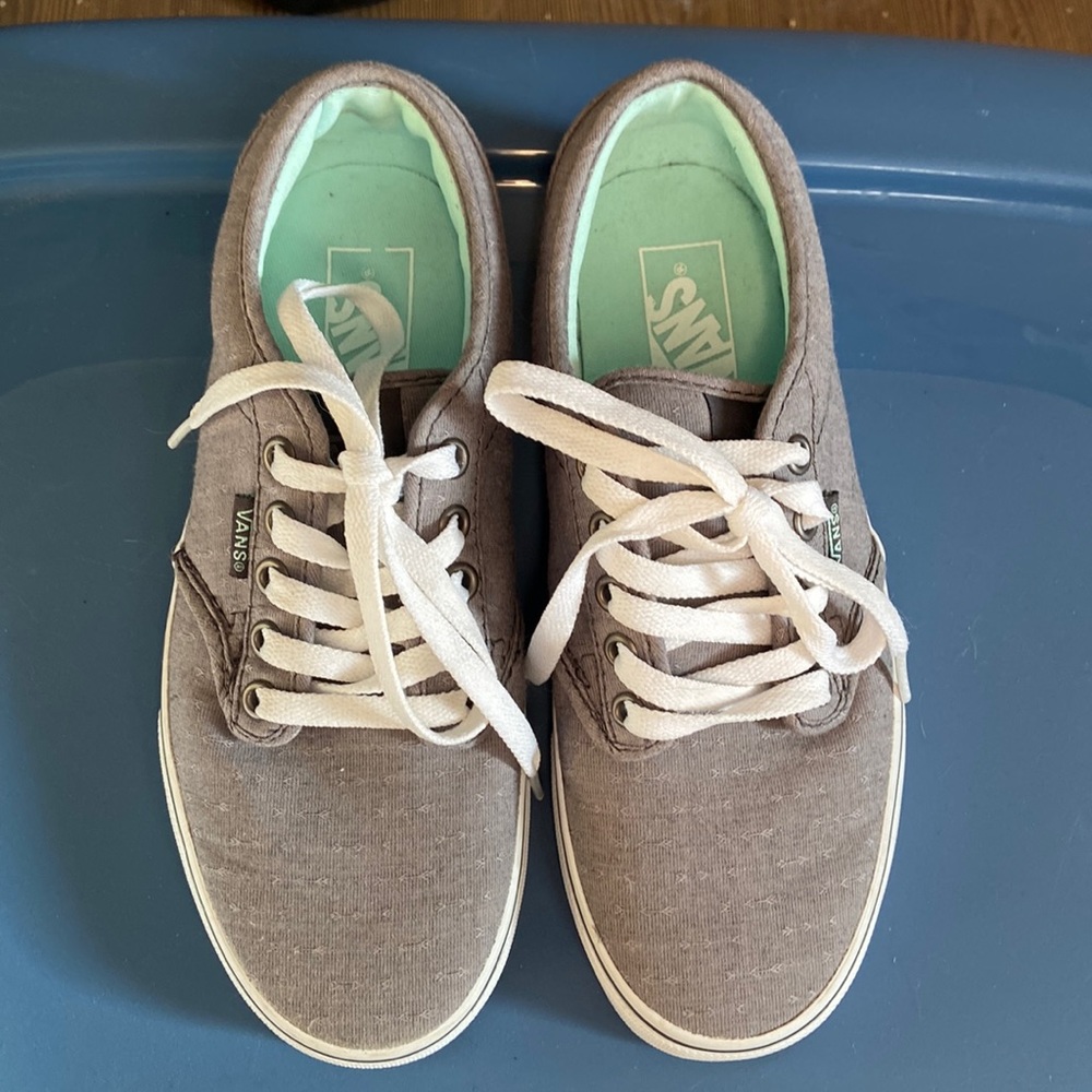 Vans Old Skool Low Skate Shoes